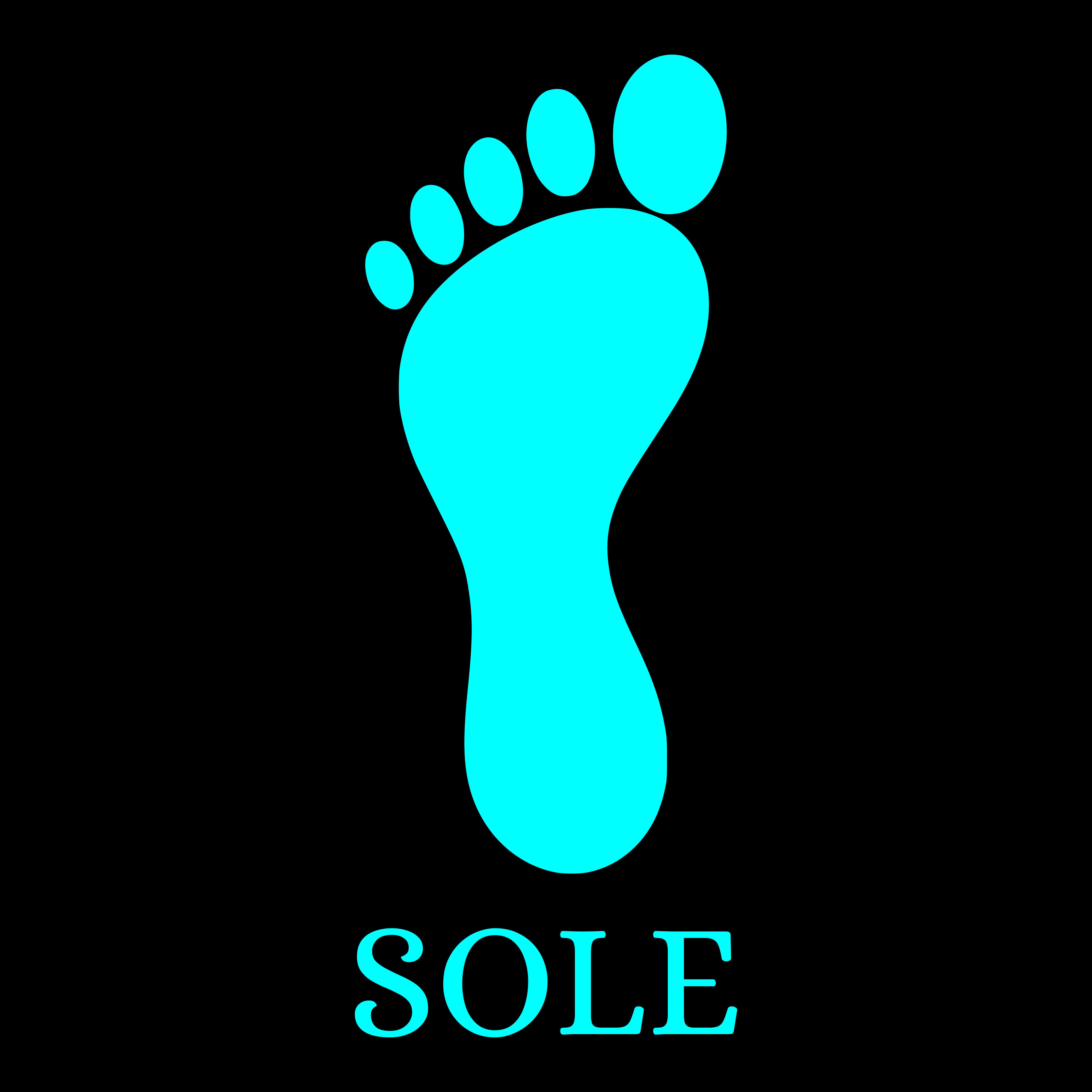 Sole Computer